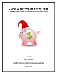 2008: Worst Waste of the Year