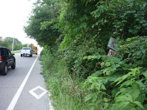 Obstructed Olathe, KS Bike Lane