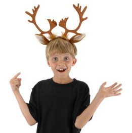 antlers