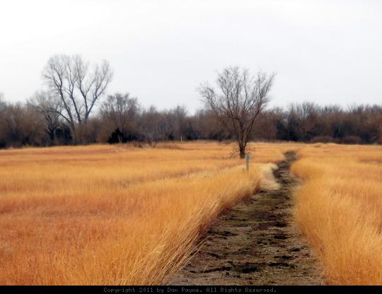 Cheney State Park West Side Trail - This photo shows a portion of the West Side Trail at Cheney State Park.