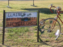 Elaine's Bicycle Oasis
