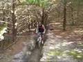 Fancy Creek Mountain Biking