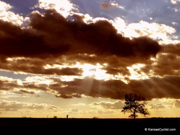 2013-11-01 - Prairie Sunbeams