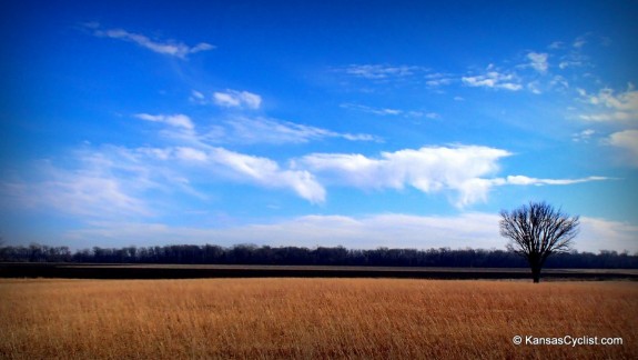 Grass, Farmland, Trees