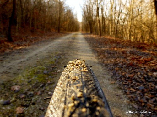 Flint Hills Nature Trail 01-2013