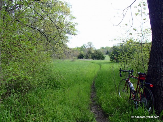 Hillsdale Singletrack