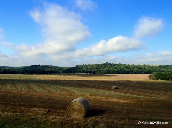 Kandango-2014-3-Hay