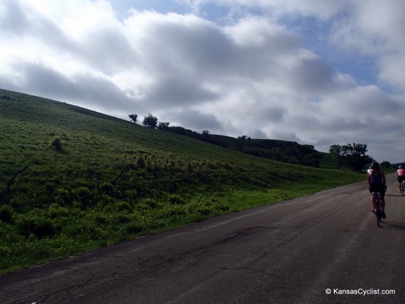 Kandango-2014-3-HumboldtCreekRoad