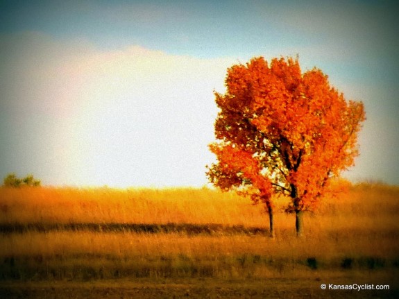 Kansas Autumn Pointillism