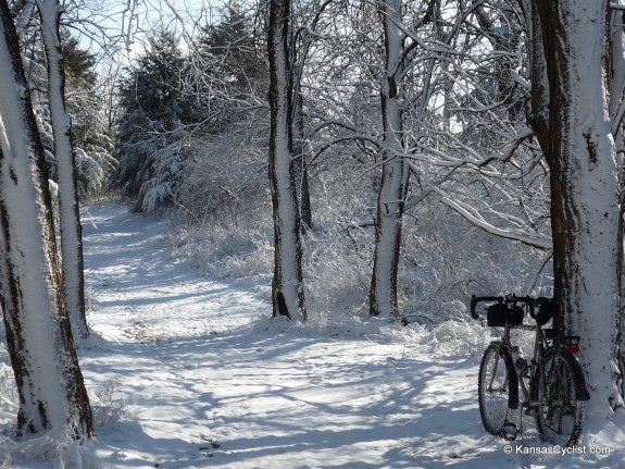 Snow Biking