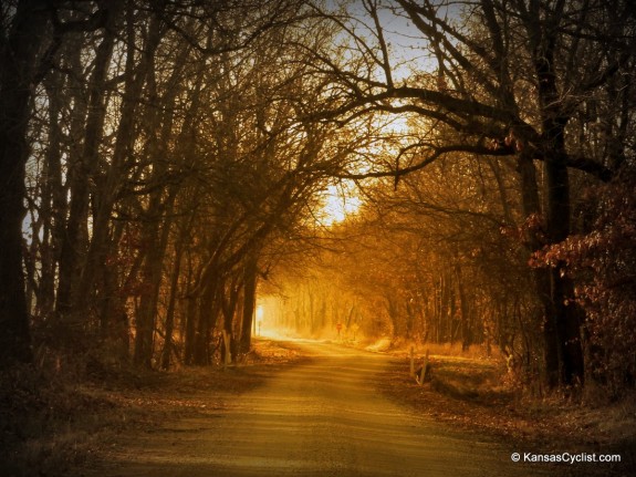 Golden Glow Road