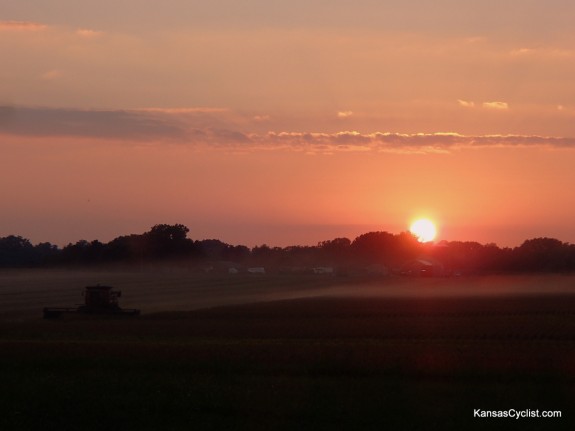 Sunset Harvest