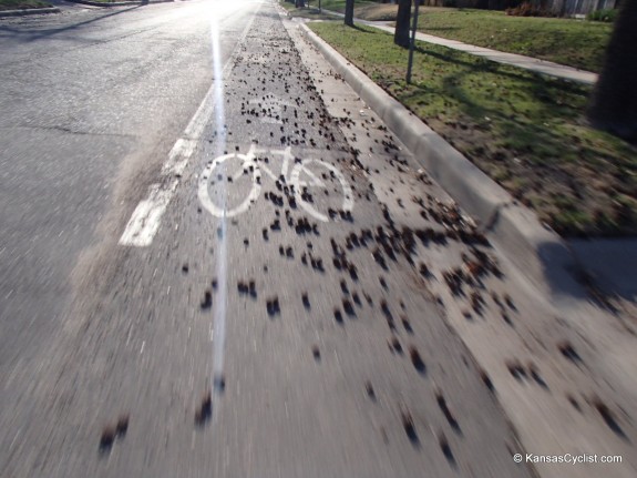 Wichita Bike Lane Debris