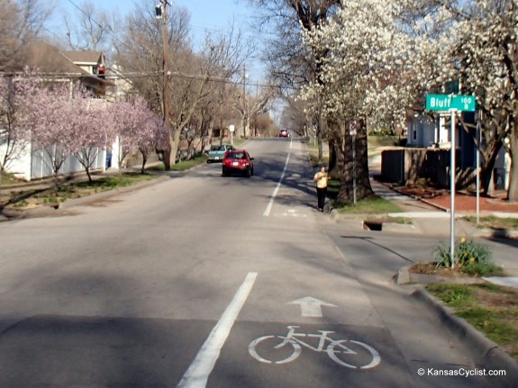 Wichita Bike Lane Jogger